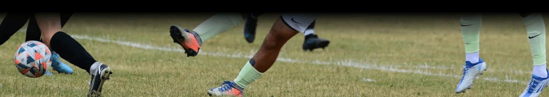 Sports Management Services